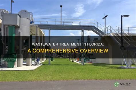 Water Treatment Services in NV & FL .